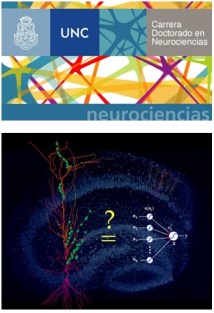 curso_doctorado_neurociencia_computacional_teorica