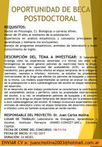 Beca post doctorado psicología