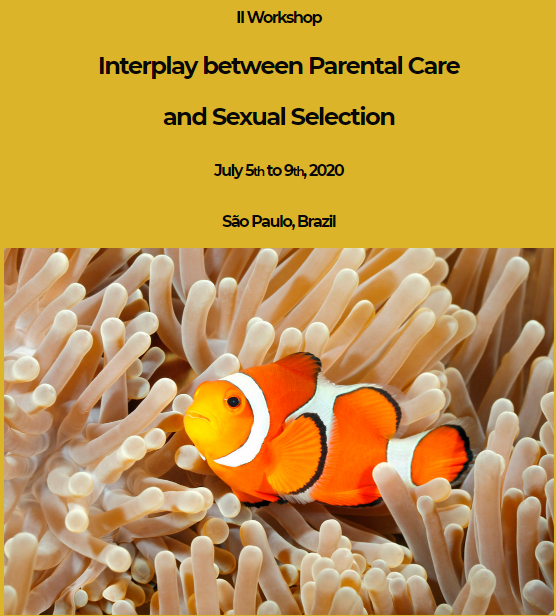 screenshot-workshop-pcss2.weebly.com-2019.11.27-12_09_44