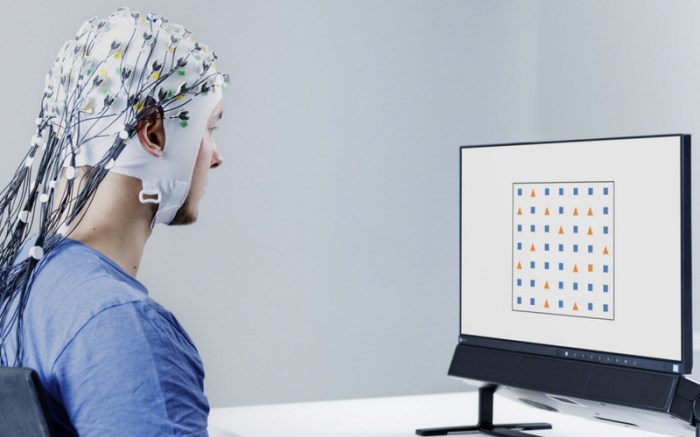 uclpals_experimental_psychology_image